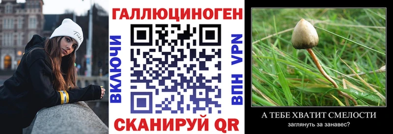 blacksprut tor  Тобольск  Галлюциногенные грибы Psilocybine cubensis 